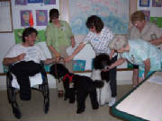 picture963.jpg
